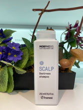 Load image into Gallery viewer, Framesi Destress Anti Sensitive Scalp Shampoo