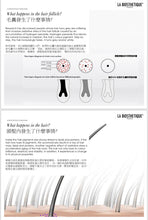 Load image into Gallery viewer, Antigrey Elixir