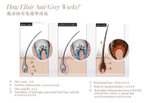 Load image into Gallery viewer, Antigrey Elixir