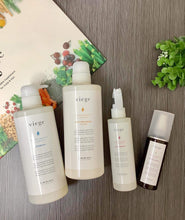 Load image into Gallery viewer, Lebel Viege Anti Aging+Anti Hair Loss Shampoo Set