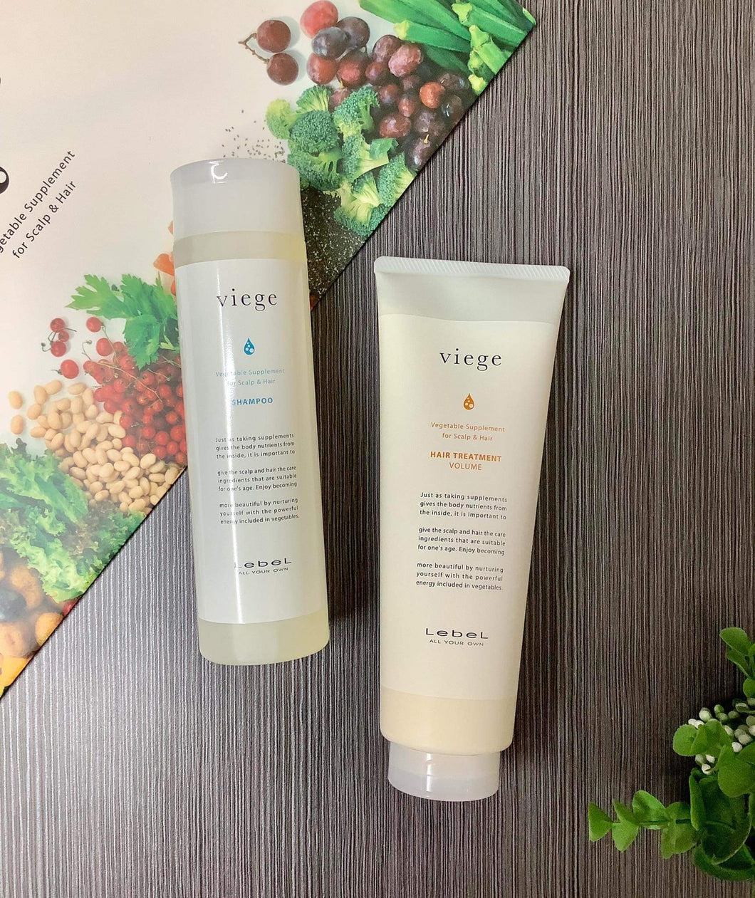 Lebel Viege shampoo＋Viege Conditioner套組